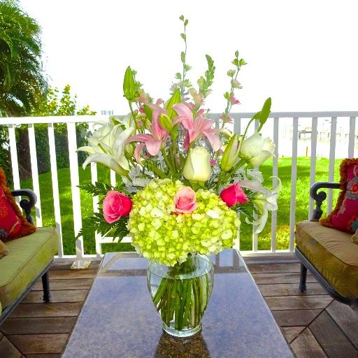 suncity668's profile picture. 