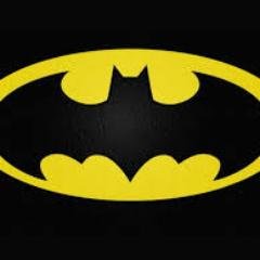 gamer , me gustan los gatos , soy un crack , fan de batman color favorito verde y muy pero muy fan del anime