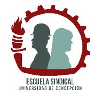 Esc. Sindical UDEC(@E_sindicaludec) 's Twitter Profile Photo
