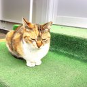 使っておりません! (@0206bmtn) Twitter
