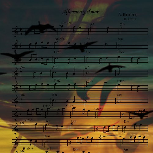 alfon_kober's profile picture. 