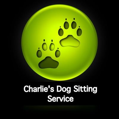 Follow my tail & smile- I'm a cute Cavoodle x Schnoodle i sit furbabes see me at FB Charlie's Dog Sitting Service