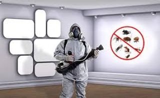 jannakill2's profile picture. Entertainment