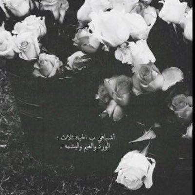 كمآ أن هُناكَ زهُور بلا عطر ' هُناكَ جميلات بدون حظ ! ف الشوكولا ثم الموسيقى ثم النوم حلول جيّدة لنهرب قليلاً من الحياة* لا اقتبس