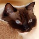 Maria Birch - @PetNamesPlace - Twitter