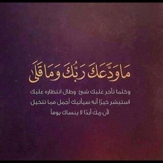 خبير تقنيه