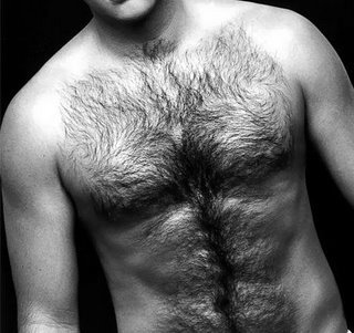 hairy btm surfer mma jui jitsu meditation pilates