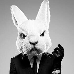 zerogravitaz's profile picture. Sport Entertainment News