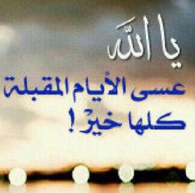 wsed7251's profile picture. 