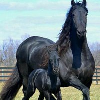 ufuk353 (@ufuk353) 's Twitter Profile Photo