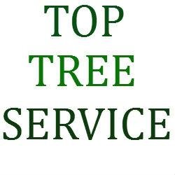 The Best Tree Service In Victoria BC! 
Call Today For A Free Quote!
(250) 984-0697

Tree Removal Service, Tree Trimming Service, 24HR Emergency Response & More!