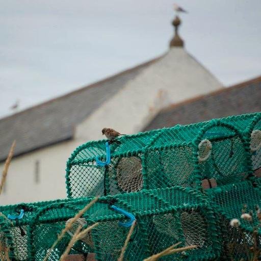 Moray Firth History