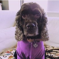 Coco Carlita (@cococarlita) 's Twitter Profile Photo Coco Carlita (@cococarlita) 's Twitter Profile Photo
