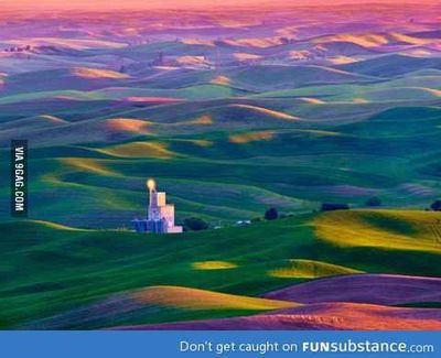 Dumbquestions14's profile picture. 