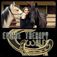 Equine Therapy Wales (@equinetherapyw) 's Twitter Profile