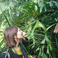 Aurelie Grall (@aurelie_grall) 's Twitter Profile