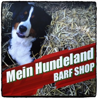 Hundeland Profile Picture