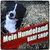Mein Hundeland (@hundeland) Twitter profile photo Mein Hundeland (@hundeland) Twitter profile photo