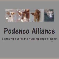 Speaking out for the hunting dogs of Spain