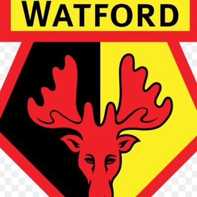 Providing all the latest polls for Watford fc fans