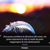 Rita Maria Nuzzone (@ritam_nuzzone) 's Twitter Profile