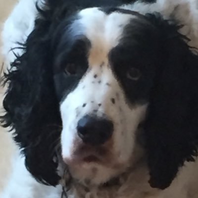 sbleakly's profile picture. 