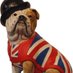 British Bull Dog (@dog_british) Twitter profile photo