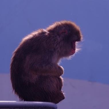 bnbblog_jp's profile picture. 国内外のAirBNBに関する最新情報まとめ。ニッチな実用情報もどうぞ。