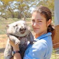 PhD, interested in human-wildlife conflict, predator-prey interactions, translocation, wombat wrangler, field ecologist