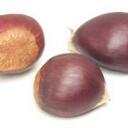 Peter Chestnut - @PeterAChestnut - Twitter