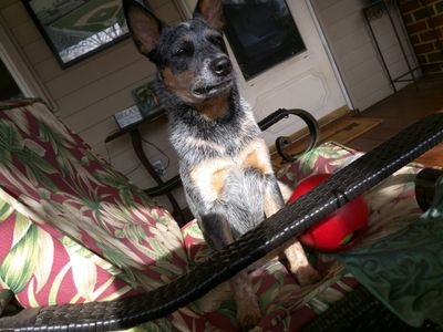 Ritzcracker1234's profile picture. current life : working on 97,000 tons of American soil that can go anywhere. and cars :)