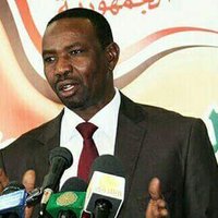 Bushara Gumaa Aror (@busharor) 's Twitter Profile
