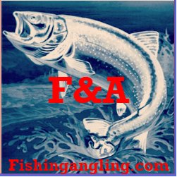 Check out my great fishing website!