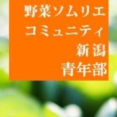 野菜ソムリエコミュニティ新潟の青年部主任のツイッターです。主に野菜や果物に関して、コミュニティ新潟について、ツイートします。