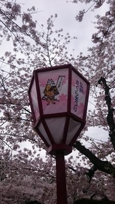 benz770k's profile picture. アラフィフ突入のおやじです。