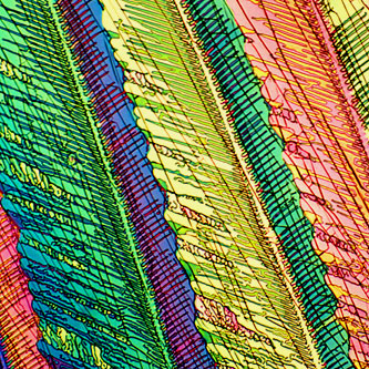 Jonathan Beall Profile