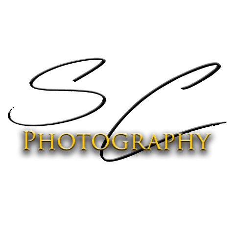 I perform personal photography services such as Family Portraits and events such as Weddings and Birthdays. I also showcase my love of Landscape Photography.