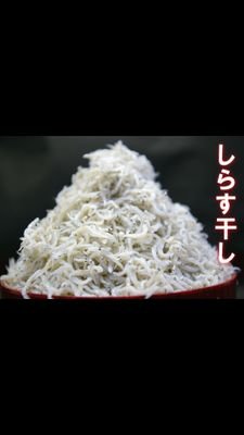 しらすさんのプロフィール画像