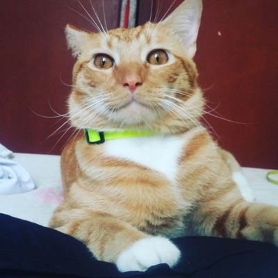 andirson_19's profile picture. :)