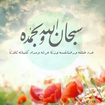 roqayaalbaroudy's profile picture. 