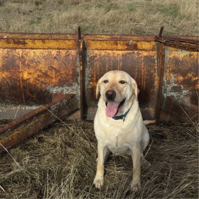 Sulydo's profile picture. 