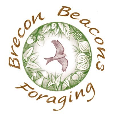 Brecon Beacons Foraging. Courses & bespoke events at Wales' unique foraging HQ run by Adele Nozedar (@hedgerowguru)