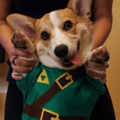 Ejrikur's profile picture. I like to play with toy soldiers! He/Him