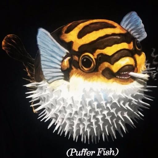 johnmyko's profile picture. 