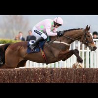 L J tips (@ljprotips) 's Twitter Profile