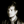 Kit_Ashton (@Kit_Ashton) profile picture