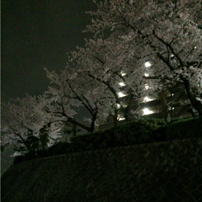 abcmalon's profile picture. どーもはせまつどす。 アカウント作り直しました 彼女募集中どすぅ