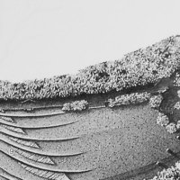 伝統と様式のその先へ (@modeling0004) 's Twitter Profile