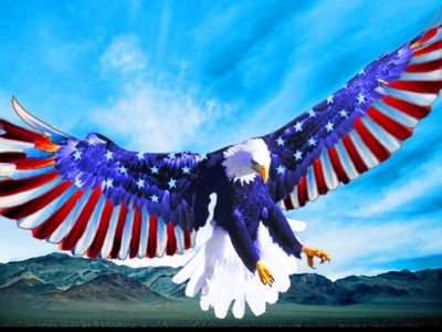 Voteout_DC's profile picture. war vet,honest family man,I think for myself,I'm not influenced by my peers,I hate life long politicians, I hate people who vote for life long politicians.