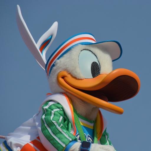 N_Dona_no1's profile picture. 成人済/グリ好き/共通/Nikon D5200/ 好きなもの→ドナデジの尻/ドナルドの頭にちょこんと乗った帽子/クルーズ・海外/ミキミニプル/シェフミ/シェフミのちらし寿司/Dホテル/ディズニー飯/BBB/ワンマン/ファウルフェローとギデオン ＦＲＢご自由に/無言フォローしてごめんなさい